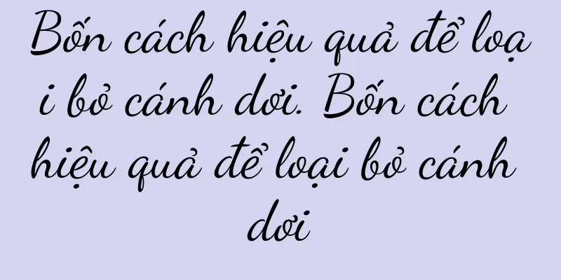Bốn cách hiệu quả để loại bỏ cánh dơi. Bốn cách hiệu quả để loại bỏ cánh dơi