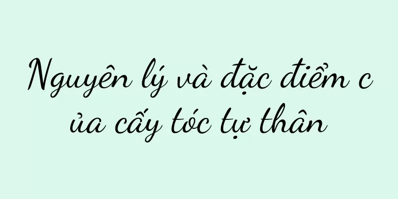 Nguyên lý và đặc điểm của cấy tóc tự thân