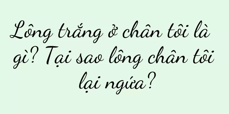 Lông trắng ở chân tôi là gì? Tại sao lông chân tôi lại ngứa?