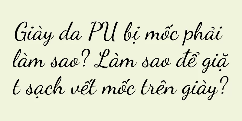 Giày da PU bị mốc phải làm sao? Làm sao để giặt sạch vết mốc trên giày?