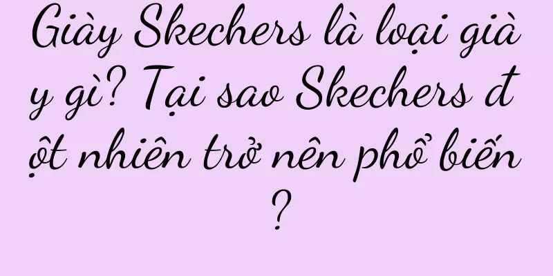 Giày Skechers là loại giày gì? Tại sao Skechers đột nhiên trở nên phổ biến?