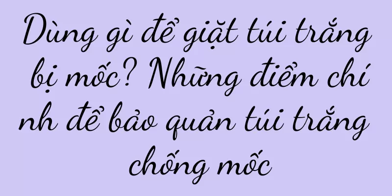 Dùng gì để giặt túi trắng bị mốc? Những điểm chính để bảo quản túi trắng chống mốc