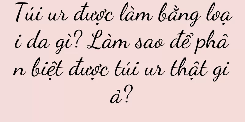 Túi ur được làm bằng loại da gì? Làm sao để phân biệt được túi ur thật giả?
