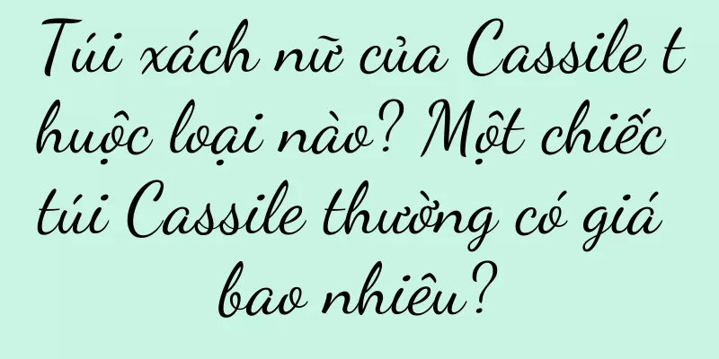 Túi xách nữ của Cassile thuộc loại nào? Một chiếc túi Cassile thường có giá bao nhiêu?