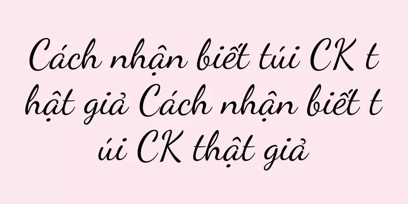 Cách nhận biết túi CK thật giả Cách nhận biết túi CK thật giả
