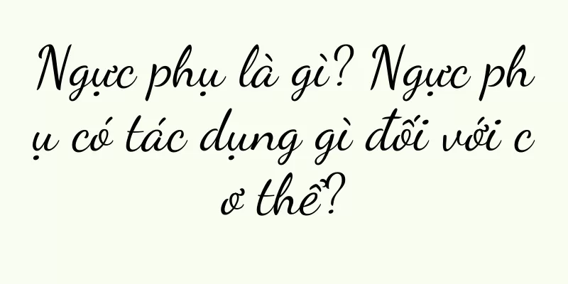 Ngực phụ là gì? Ngực phụ có tác dụng gì đối với cơ thể?