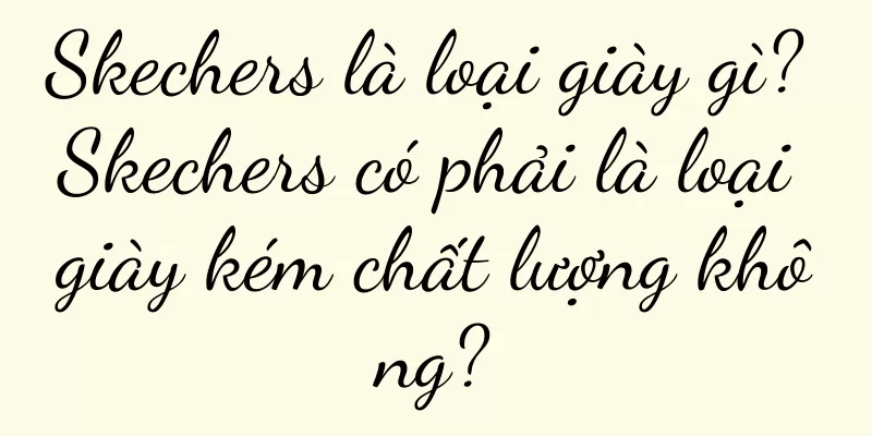 Skechers là loại giày gì? Skechers có phải là loại giày kém chất lượng không?