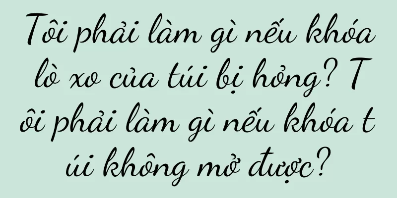 Tôi phải làm gì nếu khóa lò xo của túi bị hỏng? Tôi phải làm gì nếu khóa túi không mở được?