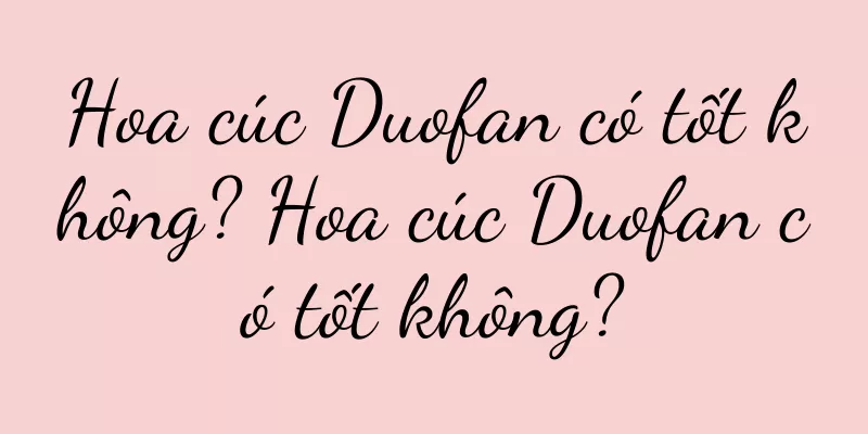 Hoa cúc Duofan có tốt không? Hoa cúc Duofan có tốt không?