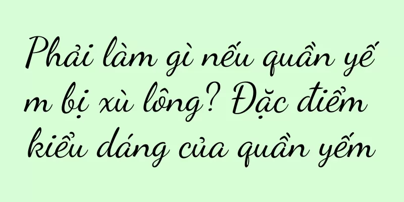 Phải làm gì nếu quần yếm bị xù lông? Đặc điểm kiểu dáng của quần yếm