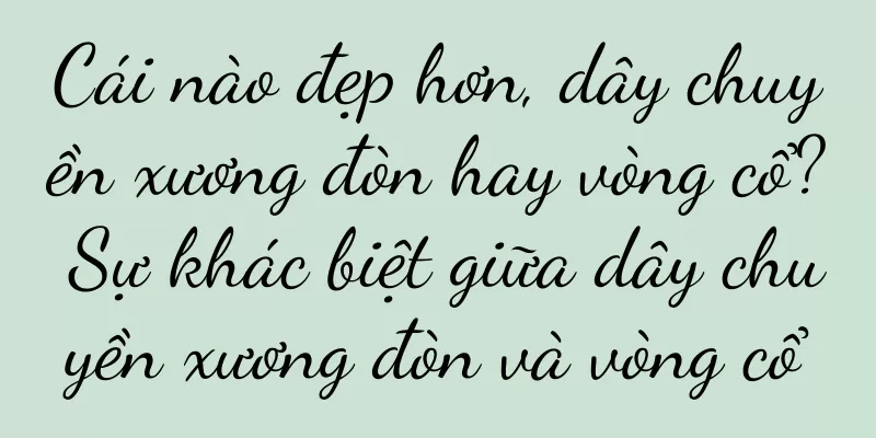 Cái nào đẹp hơn, dây chuyền xương đòn hay vòng cổ? Sự khác biệt giữa dây chuyền xương đòn và vòng cổ