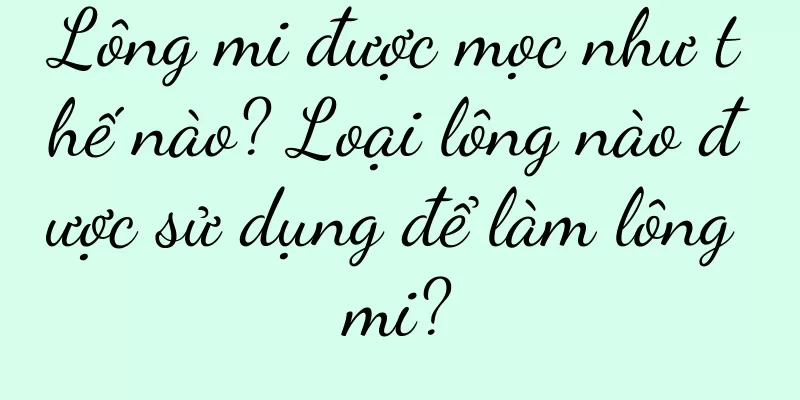 Lông mi được mọc như thế nào? Loại lông nào được sử dụng để làm lông mi?