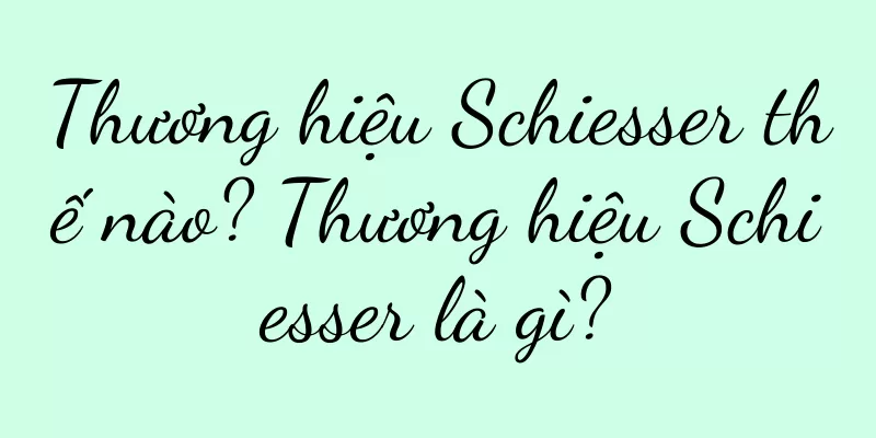 Thương hiệu Schiesser thế nào? Thương hiệu Schiesser là gì?