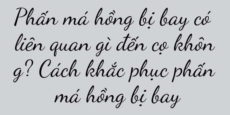Phấn má hồng bị bay có liên quan gì đến cọ không? Cách khắc phục phấn má hồng bị bay