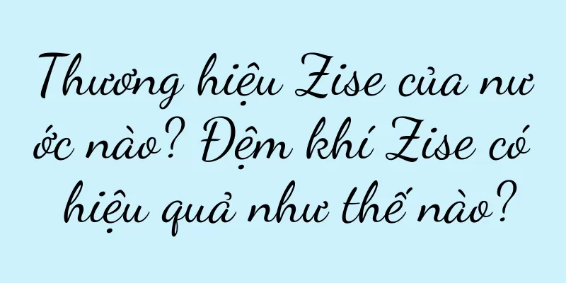Thương hiệu Zise của nước nào? Đệm khí Zise có hiệu quả như thế nào?