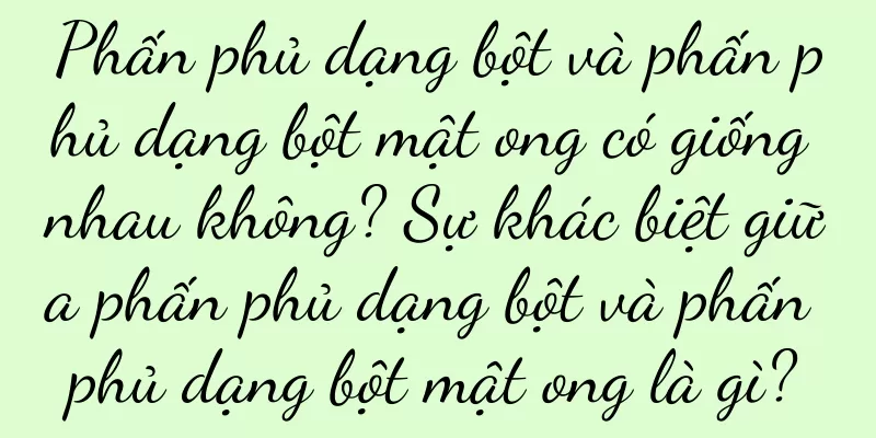 Phấn phủ dạng bột và phấn phủ dạng bột mật ong có giống nhau không? Sự khác biệt giữa phấn phủ dạng bột và phấn phủ dạng bột mật ong là gì?