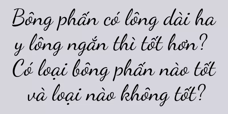 Bông phấn có lông dài hay lông ngắn thì tốt hơn? Có loại bông phấn nào tốt và loại nào không tốt?