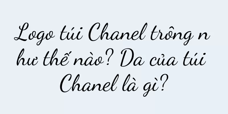 Logo túi Chanel trông như thế nào? Da của túi Chanel là gì?