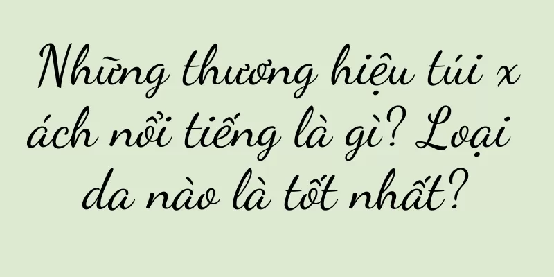 Những thương hiệu túi xách nổi tiếng là gì? Loại da nào là tốt nhất?