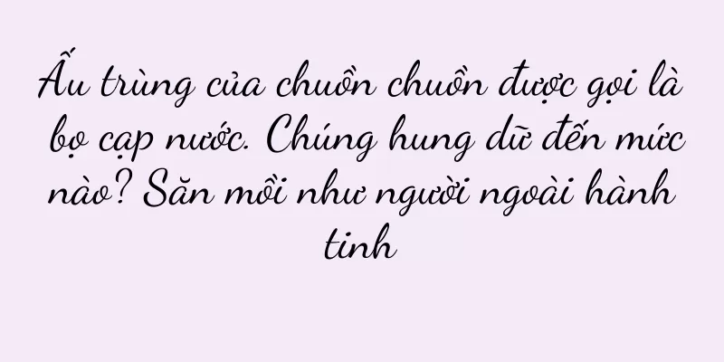 Ấu trùng của chuồn chuồn được gọi là bọ cạp nước. Chúng hung dữ đến mức nào? Săn mồi như người ngoài hành tinh