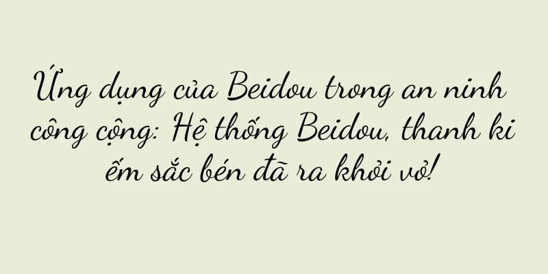 Ứng dụng của Beidou trong an ninh công cộng: Hệ thống Beidou, thanh kiếm sắc bén đã ra khỏi vỏ!