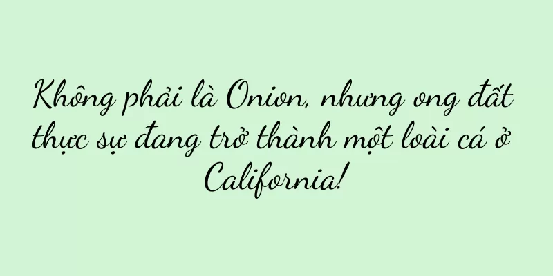 Không phải là Onion, nhưng ong đất thực sự đang trở thành một loài cá ở California!
