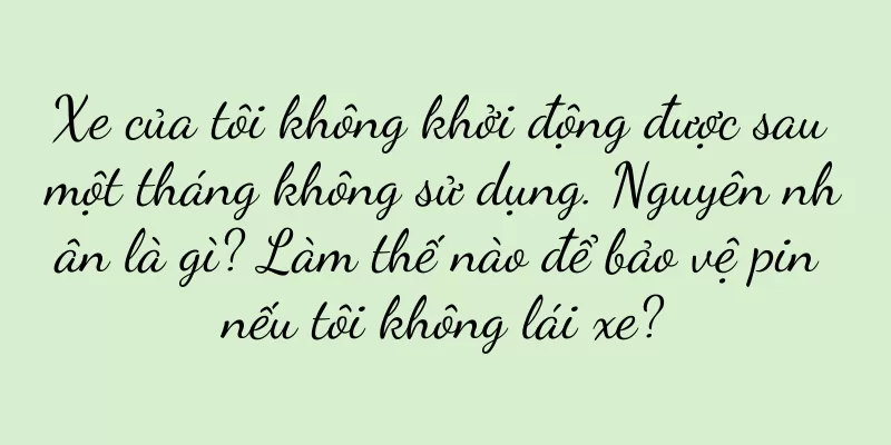Xe của tôi không khởi động được sau một tháng không sử dụng. Nguyên nhân là gì? Làm thế nào để bảo vệ pin nếu tôi không lái xe?