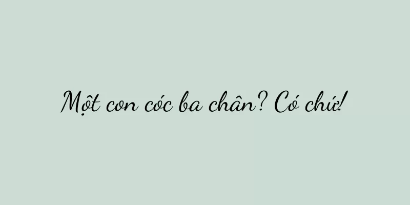 Một con cóc ba chân? Có chứ!