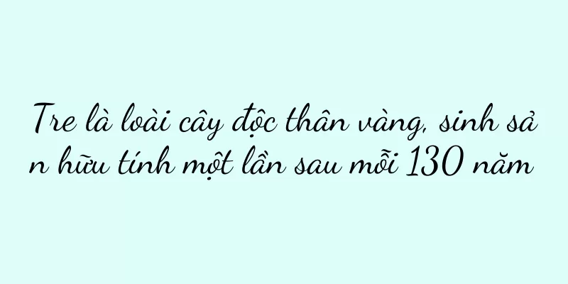 Tre là loài cây độc thân vàng, sinh sản hữu tính một lần sau mỗi 130 năm
