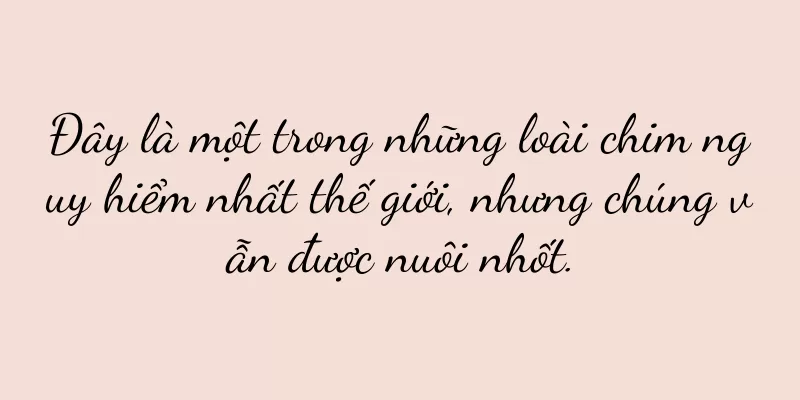 Đây là một trong những loài chim nguy hiểm nhất thế giới, nhưng chúng vẫn được nuôi nhốt.