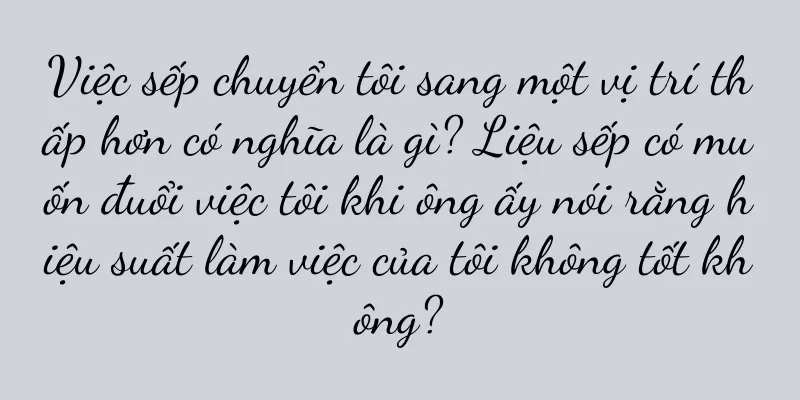 Việc sếp chuyển tôi sang một vị trí thấp hơn có nghĩa là gì? Liệu sếp có muốn đuổi việc tôi khi ông ấy nói rằng hiệu suất làm việc của tôi không tốt không?