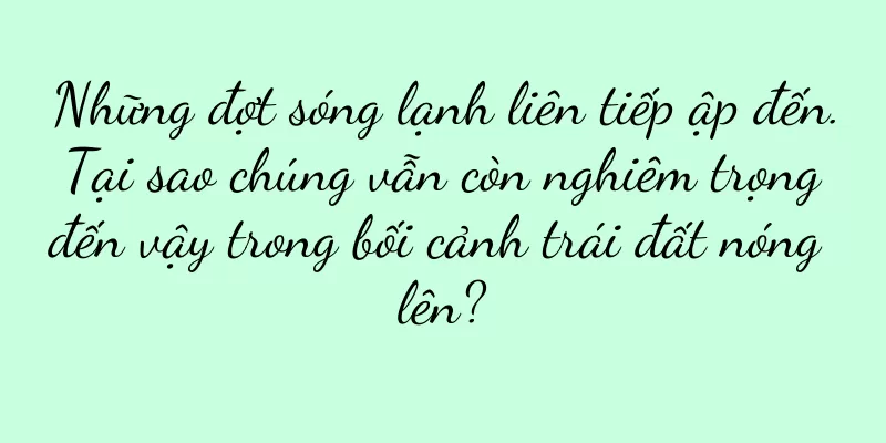 Những đợt sóng lạnh liên tiếp ập đến. Tại sao chúng vẫn còn nghiêm trọng đến vậy trong bối cảnh trái đất nóng lên?