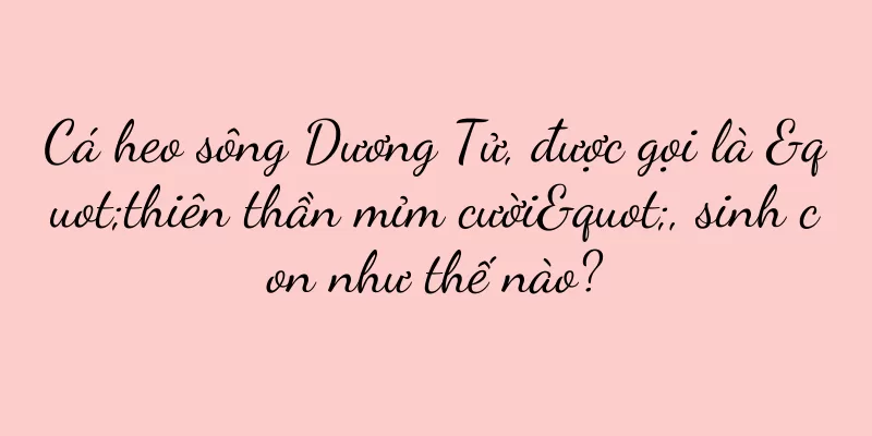 Cá heo sông Dương Tử, được gọi là "thiên thần mỉm cười", sinh con như thế nào?