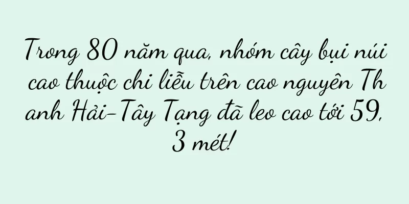 Trong 80 năm qua, nhóm cây bụi núi cao thuộc chi liễu trên cao nguyên Thanh Hải-Tây Tạng đã leo cao tới 59,3 mét!