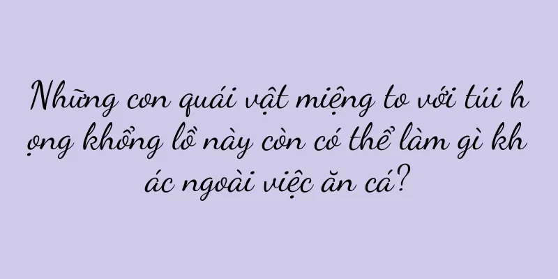 Những con quái vật miệng to với túi họng khổng lồ này còn có thể làm gì khác ngoài việc ăn cá?