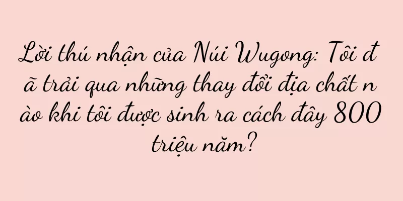 Lời thú nhận của Núi Wugong: Tôi đã trải qua những thay đổi địa chất nào khi tôi được sinh ra cách đây 800 triệu năm?