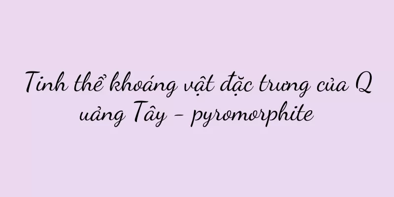Tinh thể khoáng vật đặc trưng của Quảng Tây - pyromorphite