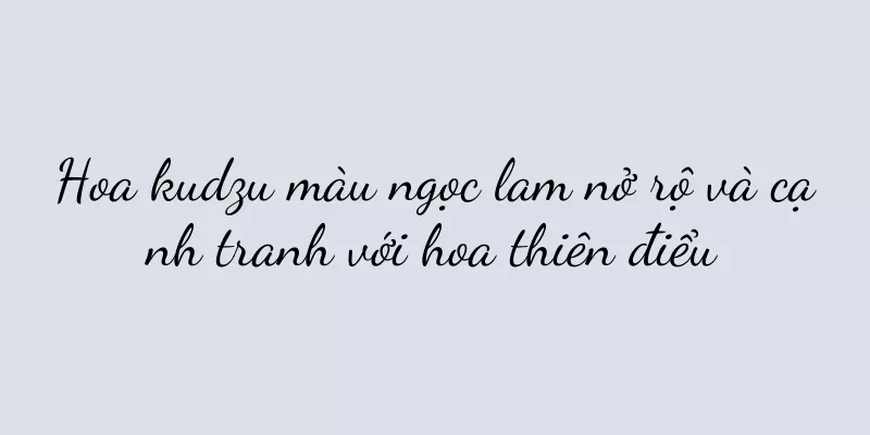 Hoa kudzu màu ngọc lam nở rộ và cạnh tranh với hoa thiên điểu