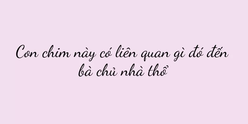 Con chim này có liên quan gì đó đến bà chủ nhà thổ
