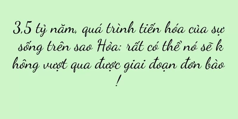 3,5 tỷ năm, quá trình tiến hóa của sự sống trên sao Hỏa: rất có thể nó sẽ không vượt qua được giai đoạn đơn bào!