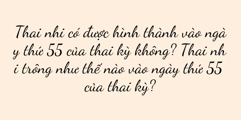 Thai nhi có được hình thành vào ngày thứ 55 của thai kỳ không? Thai nhi trông như thế nào vào ngày thứ 55 của thai kỳ?