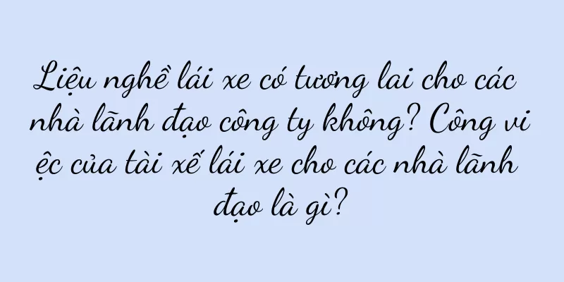Liệu nghề lái xe có tương lai cho các nhà lãnh đạo công ty không? Công việc của tài xế lái xe cho các nhà lãnh đạo là gì?