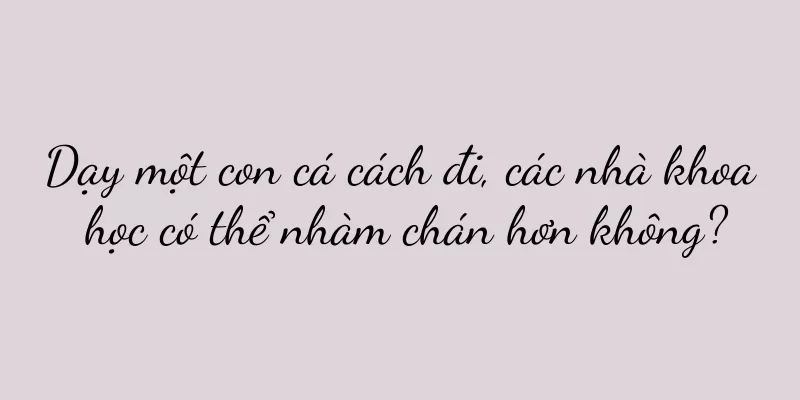 Dạy một con cá cách đi, các nhà khoa học có thể nhàm chán hơn không?