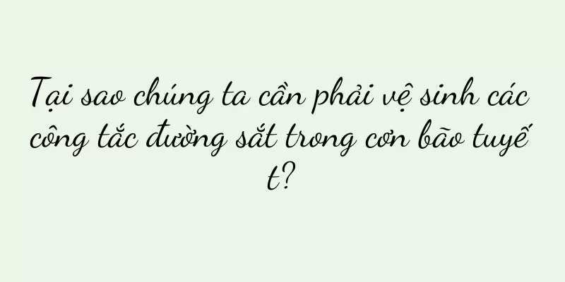 Tại sao chúng ta cần phải vệ sinh các công tắc đường sắt trong cơn bão tuyết?