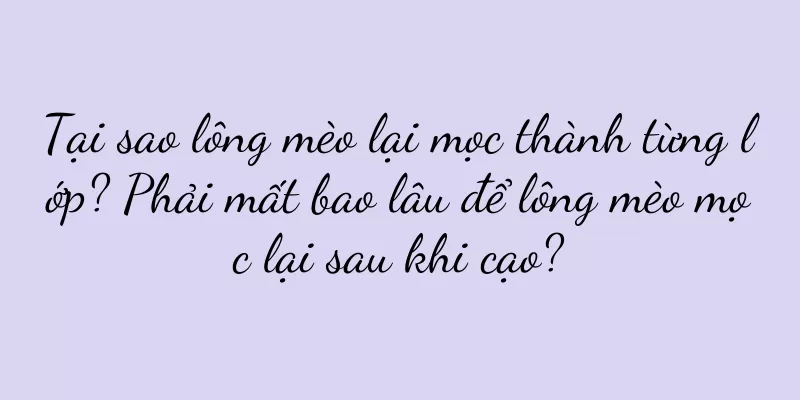 Tại sao lông mèo lại mọc thành từng lớp? Phải mất bao lâu để lông mèo mọc lại sau khi cạo?