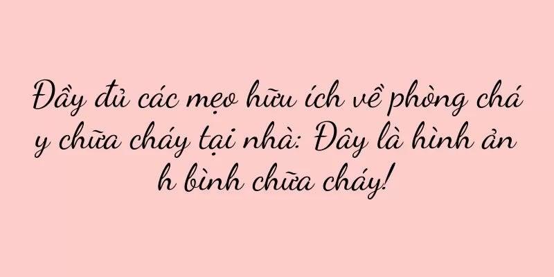 Đầy đủ các mẹo hữu ích về phòng cháy chữa cháy tại nhà: Đây là hình ảnh bình chữa cháy!
