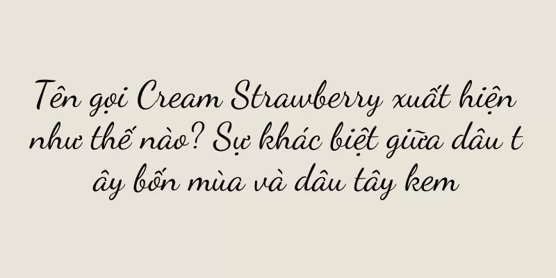 Tên gọi Cream Strawberry xuất hiện như thế nào? Sự khác biệt giữa dâu tây bốn mùa và dâu tây kem