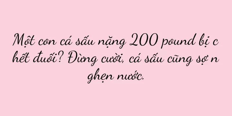 Một con cá sấu nặng 200 pound bị chết đuối? Đừng cười, cá sấu cũng sợ nghẹn nước.