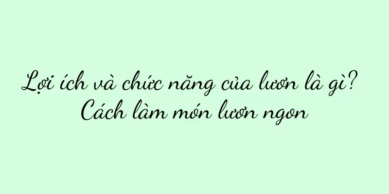 Lợi ích và chức năng của lươn là gì? Cách làm món lươn ngon