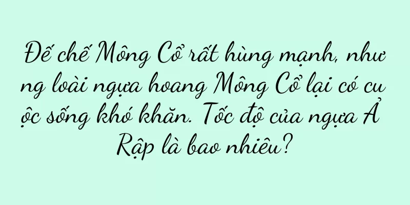 Đế chế Mông Cổ rất hùng mạnh, nhưng loài ngựa hoang Mông Cổ lại có cuộc sống khó khăn. Tốc độ của ngựa Ả Rập là bao nhiêu?
